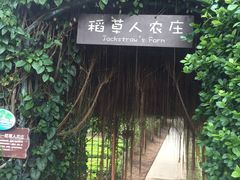 -三亚亚龙湾红树林度假酒店