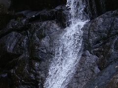 -大奇山国家森林公园