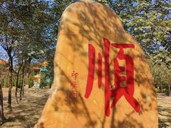 -三水森林公园