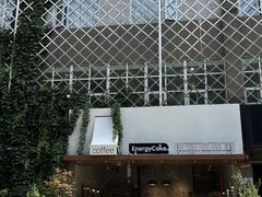 -EnergyCake蛋糕理想国