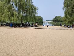 -大兴滨河森林公园