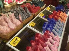 -猫咪博物馆(顶澳仔猫街店)