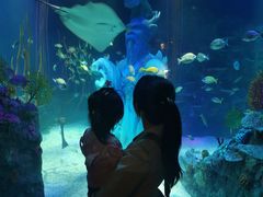 -沈阳海洋探索中心