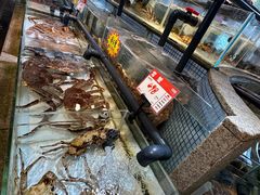 -万龙洲海鲜(南新仓店)