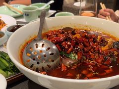 -北平盛世·新京菜·北京烤鸭(劲松·双井店)