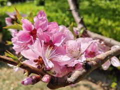 -迎泽公园