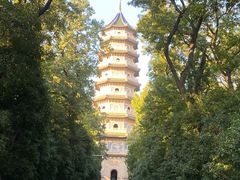 -灵谷景区