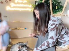 -Husky Go! 哈士奇体验馆·宠物咖啡厅狗咖