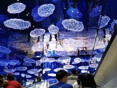-盒马X会员店(上海森兰商都店)