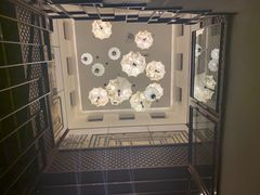 -浙江安吉JW万豪酒店·万豪中餐厅