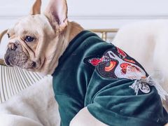 -PETKIT 小佩宠物·低压洗护·美容·寄养(安远店)