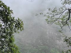 -大鄣山卧龙谷景区