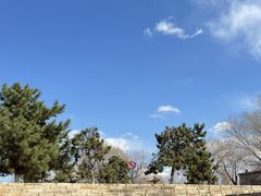 -莫子山公园
