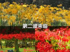 -杭州植物园