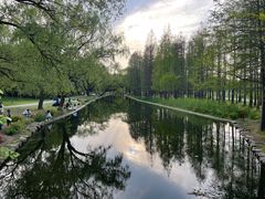 -上海共青森林公园