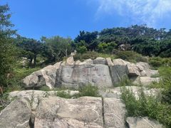 -泰山风景名胜区