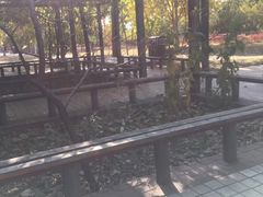-北京麋鹿生态实验中心