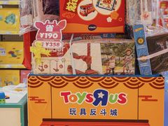 -TOYSRUS玩具反斗城(凯德广场云尚店)