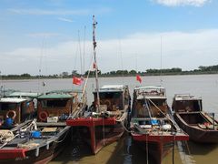 -大湾区中央湿地公园