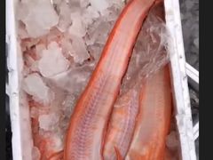 -浦商菜市场·锦德店