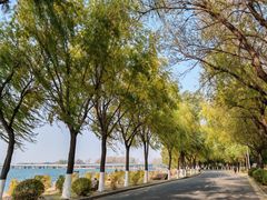 -丁香湖公园
