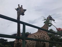-沈阳森林动物园