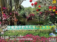 -海南热带野生动植物园