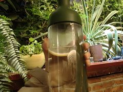 -野蔓果·山野菜(西湖景区·龙井茶田店)