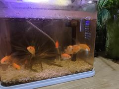 -栖游青年旅舍(华强北地铁站店)