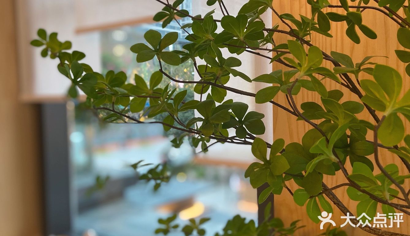 全成都独一无二の独栋日料店🏠浪漫又精致🎏