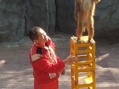 -石燕湖生态旅游景区