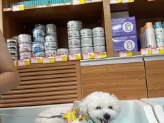 -宠福鑫动物医院·动物疾病诊疗中心(天通苑店)