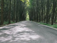 -同里国家湿地公园