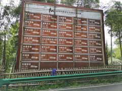 -山沟沟景区