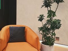 -小仙女采耳·按摩·SPA(深圳旗舰店)