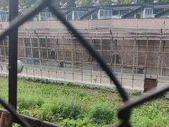 -哈尔滨北方森林动物园