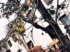 -悦哉·派对·草坪婚礼·围炉煮茶(三圣乡店)