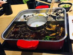 -新辣道鱼火锅(领展购物广场·中关村店)