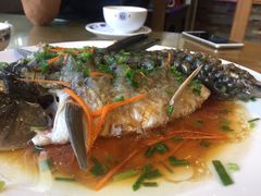 -悠悠美食