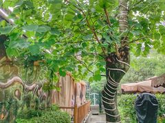 -二荆条·蜀鲜汇城市森林火锅