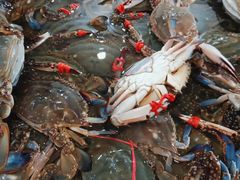 -孙家码头海鲜自助美食城