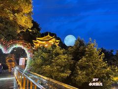 -巴倒烫陆派重庆火锅(南山店)
