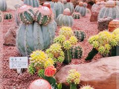 -南通洲际绿博园