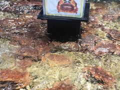 -盒马鲜生(曜一城店)