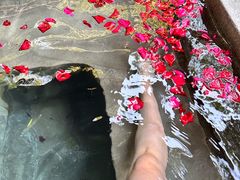 -和顺柏联温泉