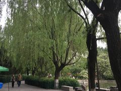 -西安市长乐公园