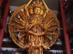 -上海东林寺(金山区)