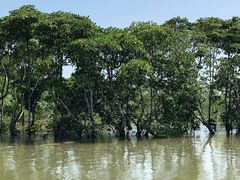 -东寨港红树林旅游区