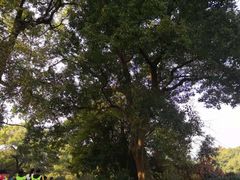 -西湖风景区十里琅珰-五云山