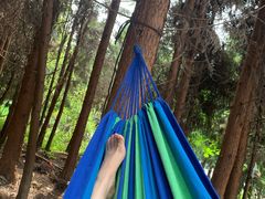 -武陵山森林公园